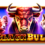 Black Bull
